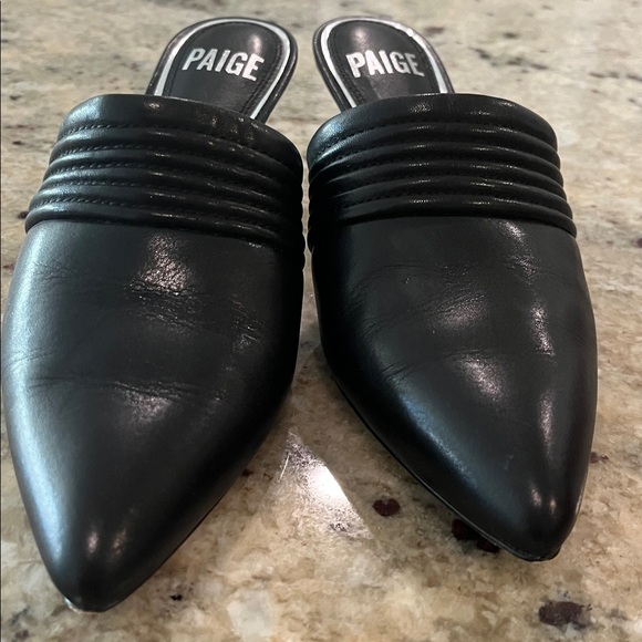 Paige slide - Picture 3 of 5